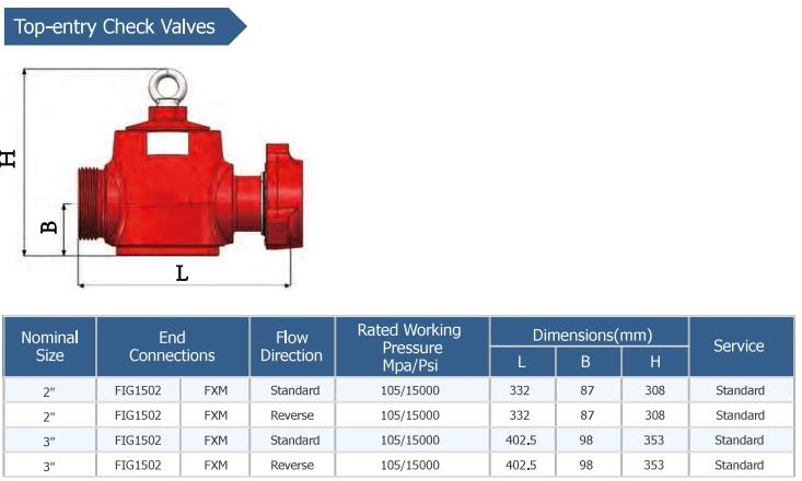 Top enter check valve